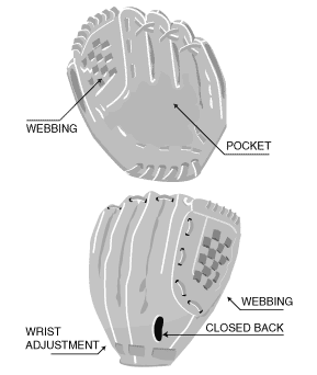 Glove Construction