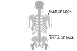 Measuring Backpack size