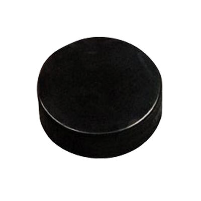 Proguard Sports Practice Puck