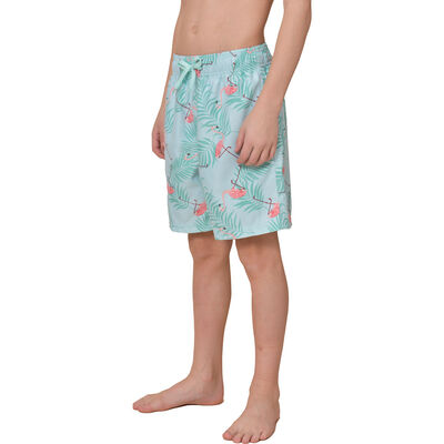 Canyon Creek Boy's Flamingo Print Volley Shorts