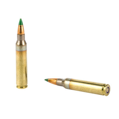 Winchester 5.56mm M855 NATO Ammo 62 Grain FMJ 200 Rounds