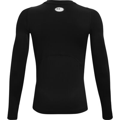 Under Armour Boys' HeatGear Armour Long Sleeve