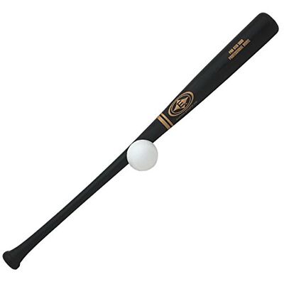 Easton Pro Stix Y100 Training Set