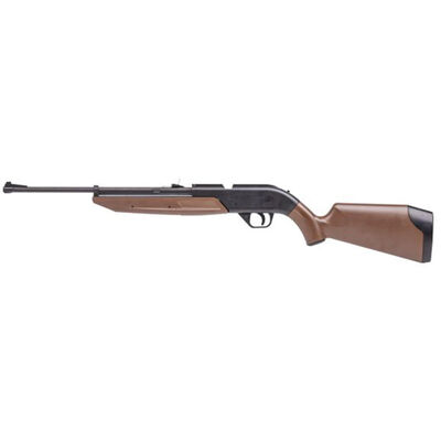 Crosman 760 Pumpmaster Air Rifle