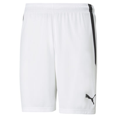 Puma Men's Teamliga Shorts