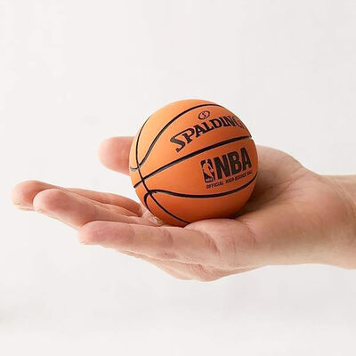 Spalding NBA Hi Bounce Ball